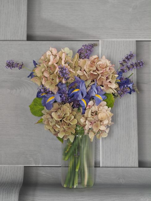 A floral arrangement featuring a mix of pale pink and cream hydrangeas, vibrant purple irises, and small sprigs of lavender, all arranged in a clear glass vase. The bouquet is set against a light gray